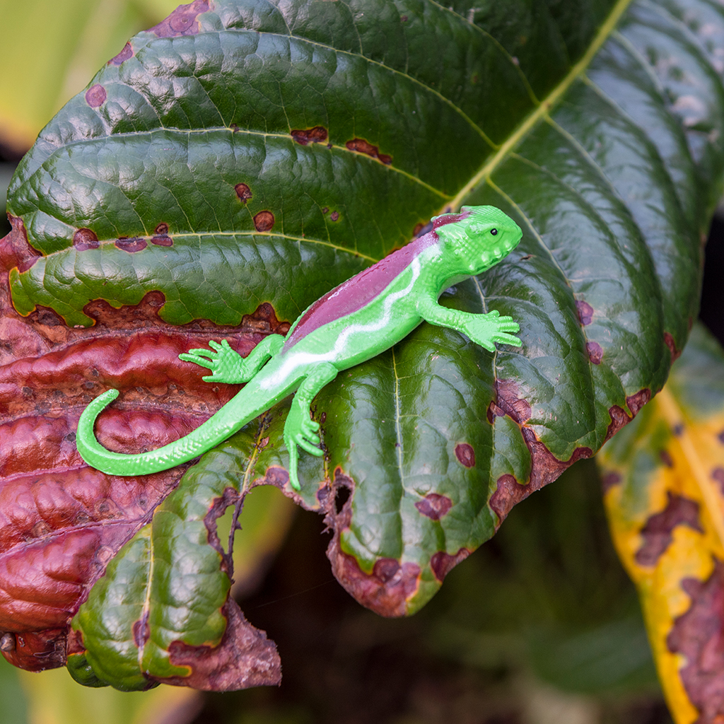 Super stretchy gecko (assorted - SINGLE) | Rex London