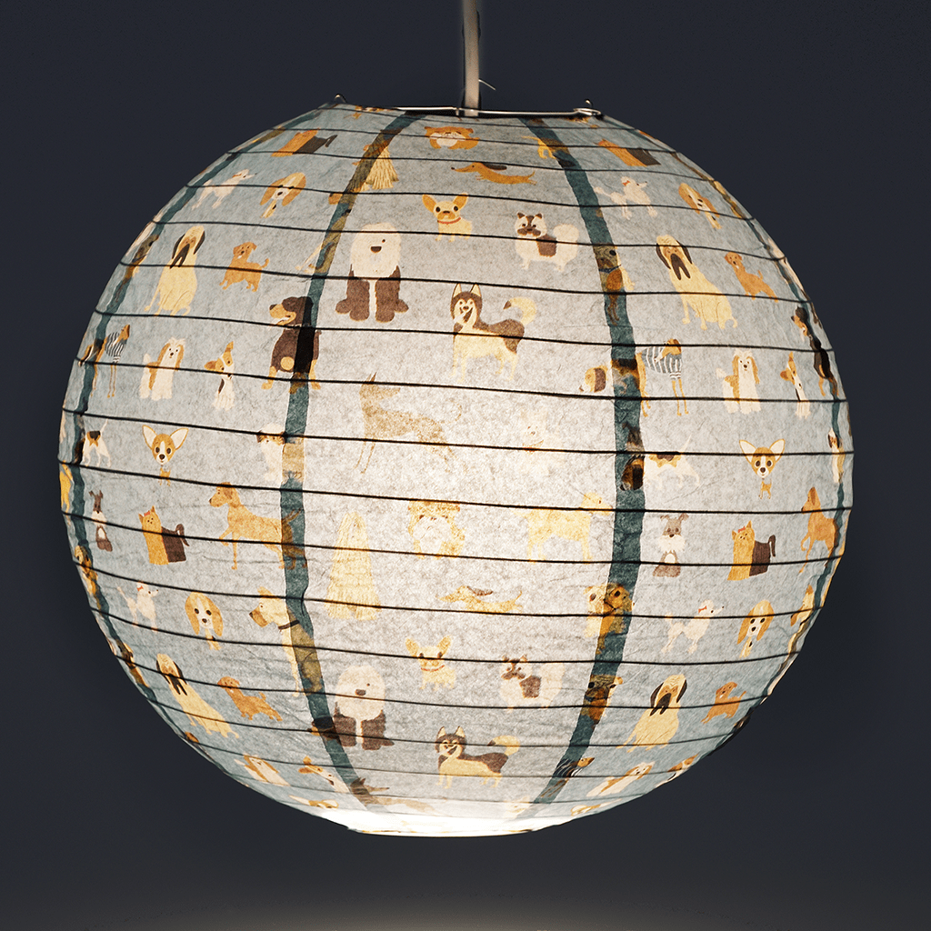 Paper lampshade - Best in Show | Rex London