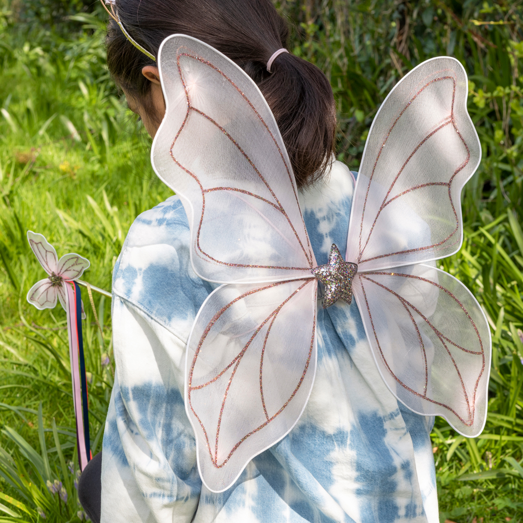 Fairy wings - Fairies in the Garden | Rex London