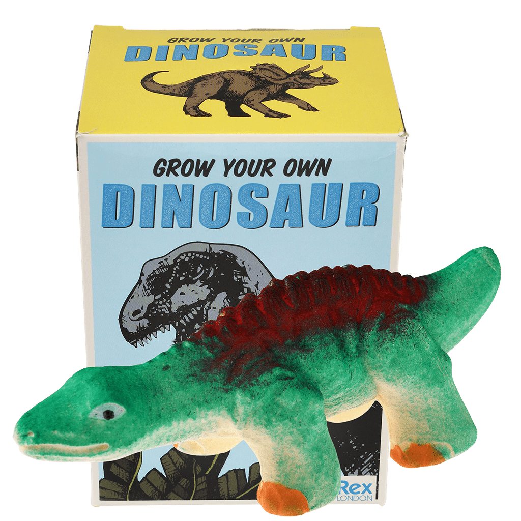 Grow your own dinosaur egg hotsell