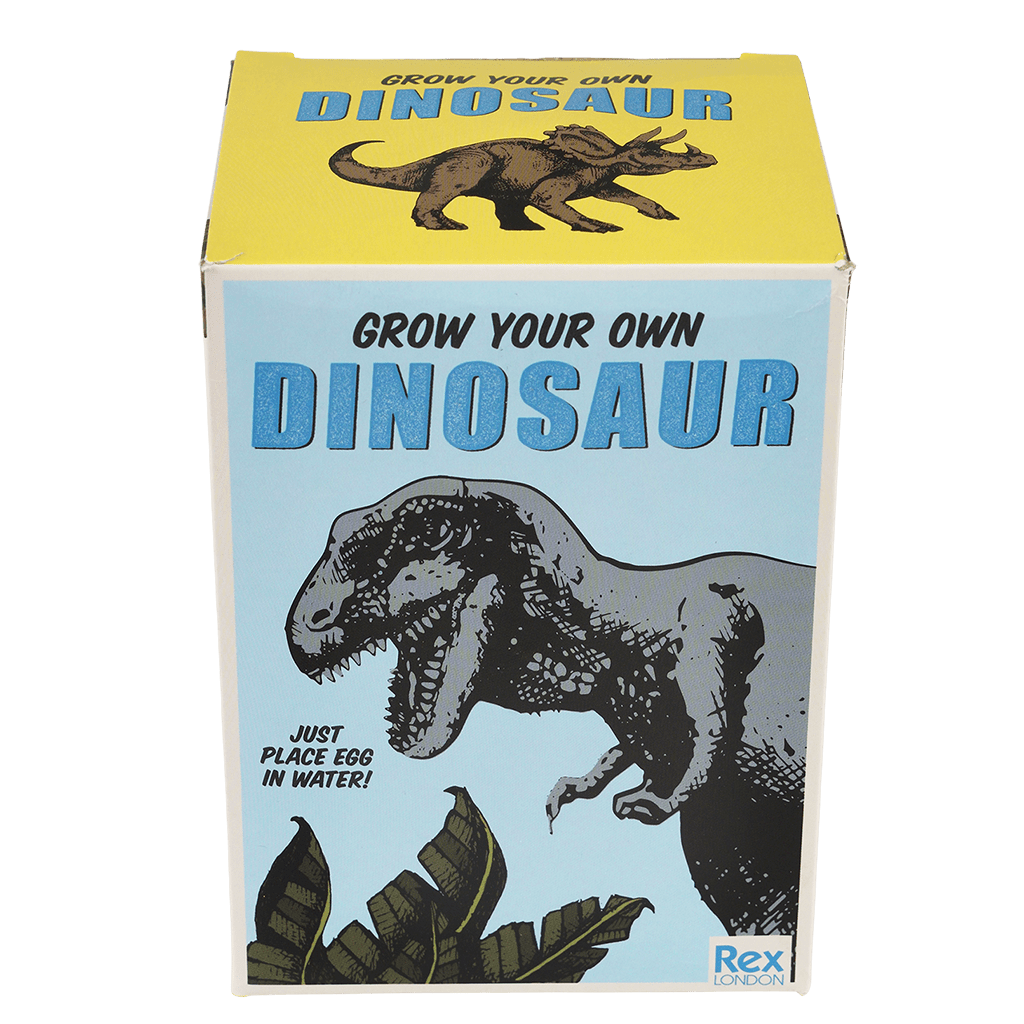 Hatch n grow hot sale dinosaur eggs
