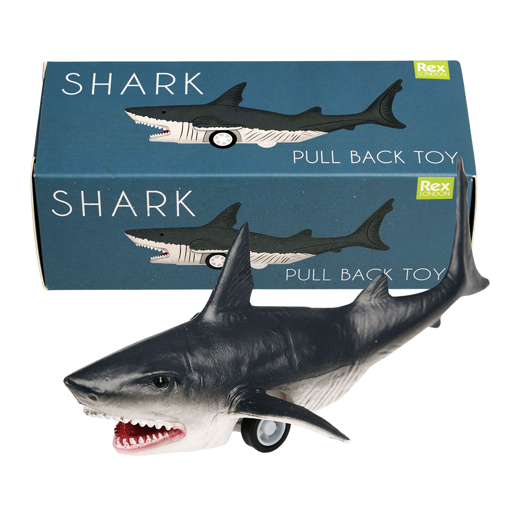 Shark shark toys shop
