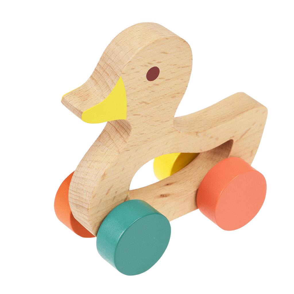Push along duck shop toy