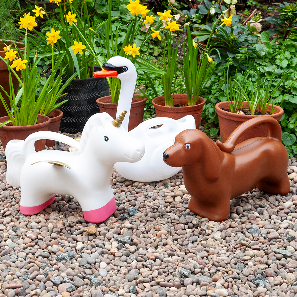 Watering can (2 ltr) - Sausage Dog | ﻿Rex London
