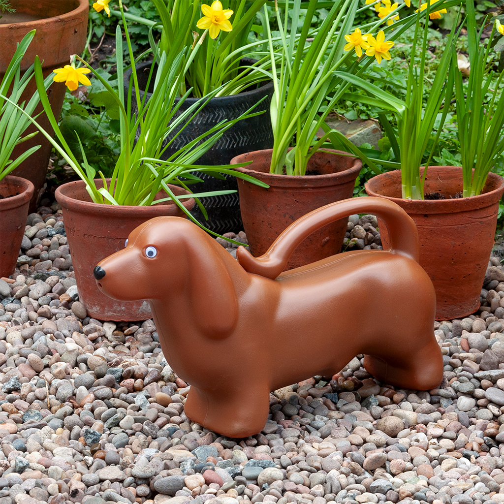 Watering can (2 ltr) - Sausage Dog | ﻿Rex London