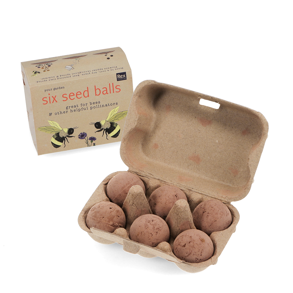 Seed balls (box of 6) - Your Garden | ﻿Rex London
