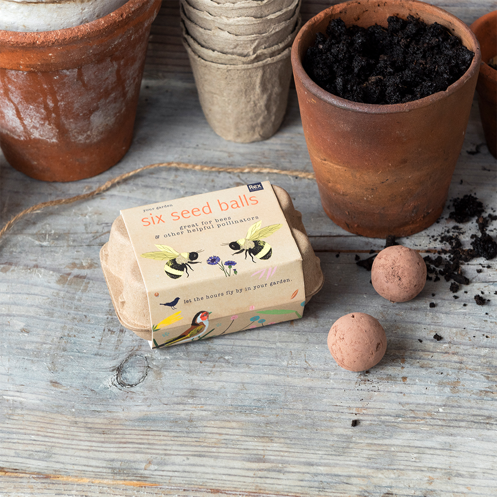 Seed balls (box of 6) - Your Garden | ﻿Rex London