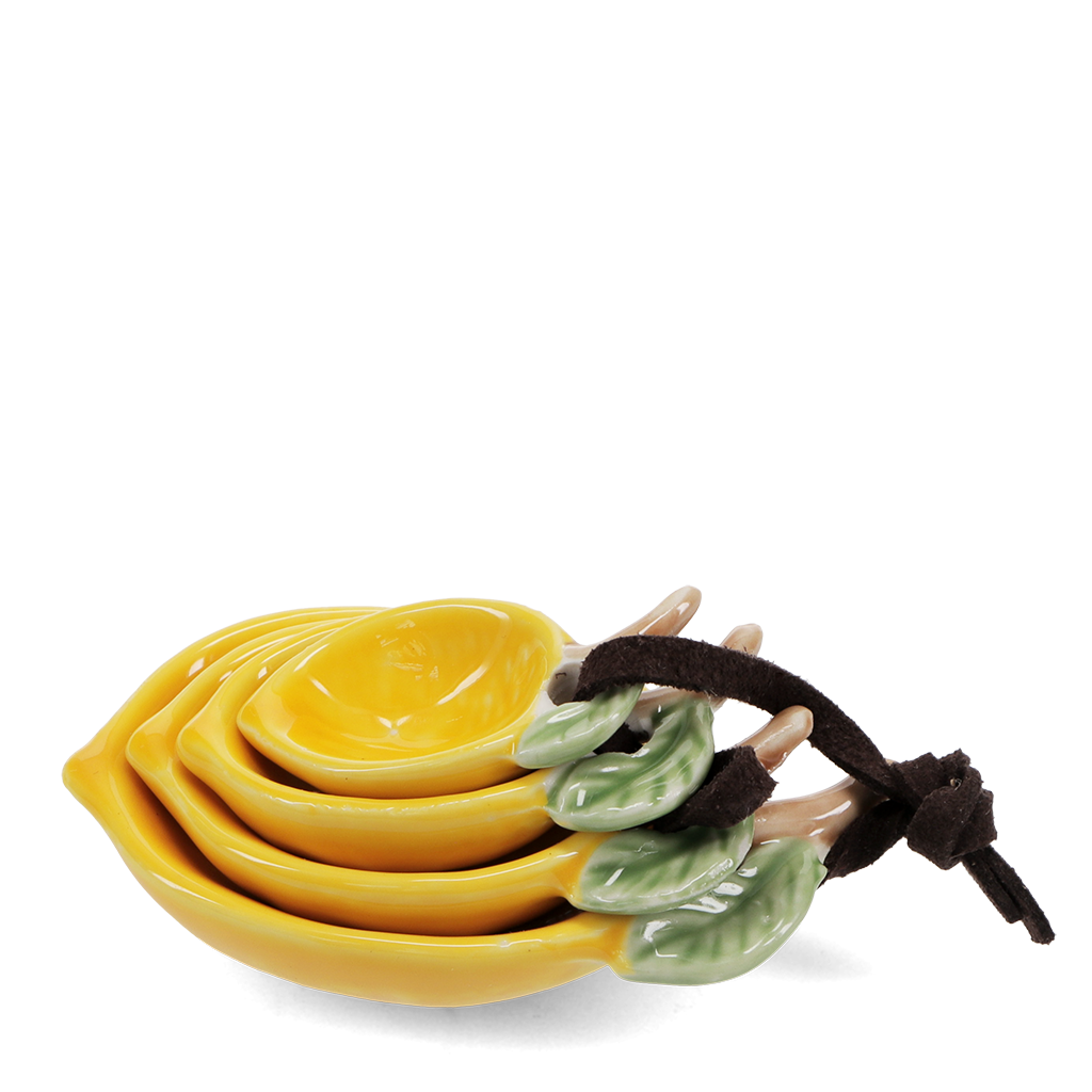 31256_2-lemon-measuring-spoons