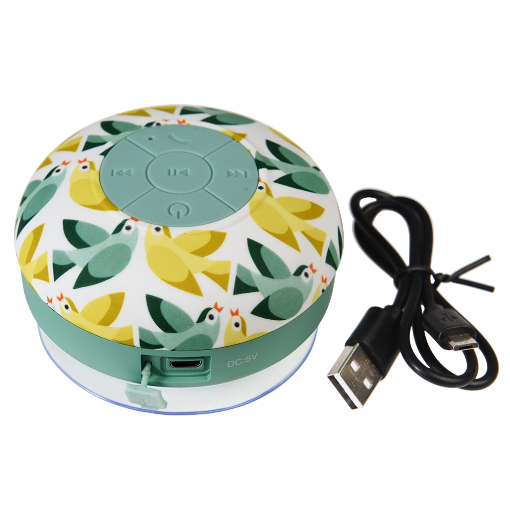 Novelty 2024 shower speaker