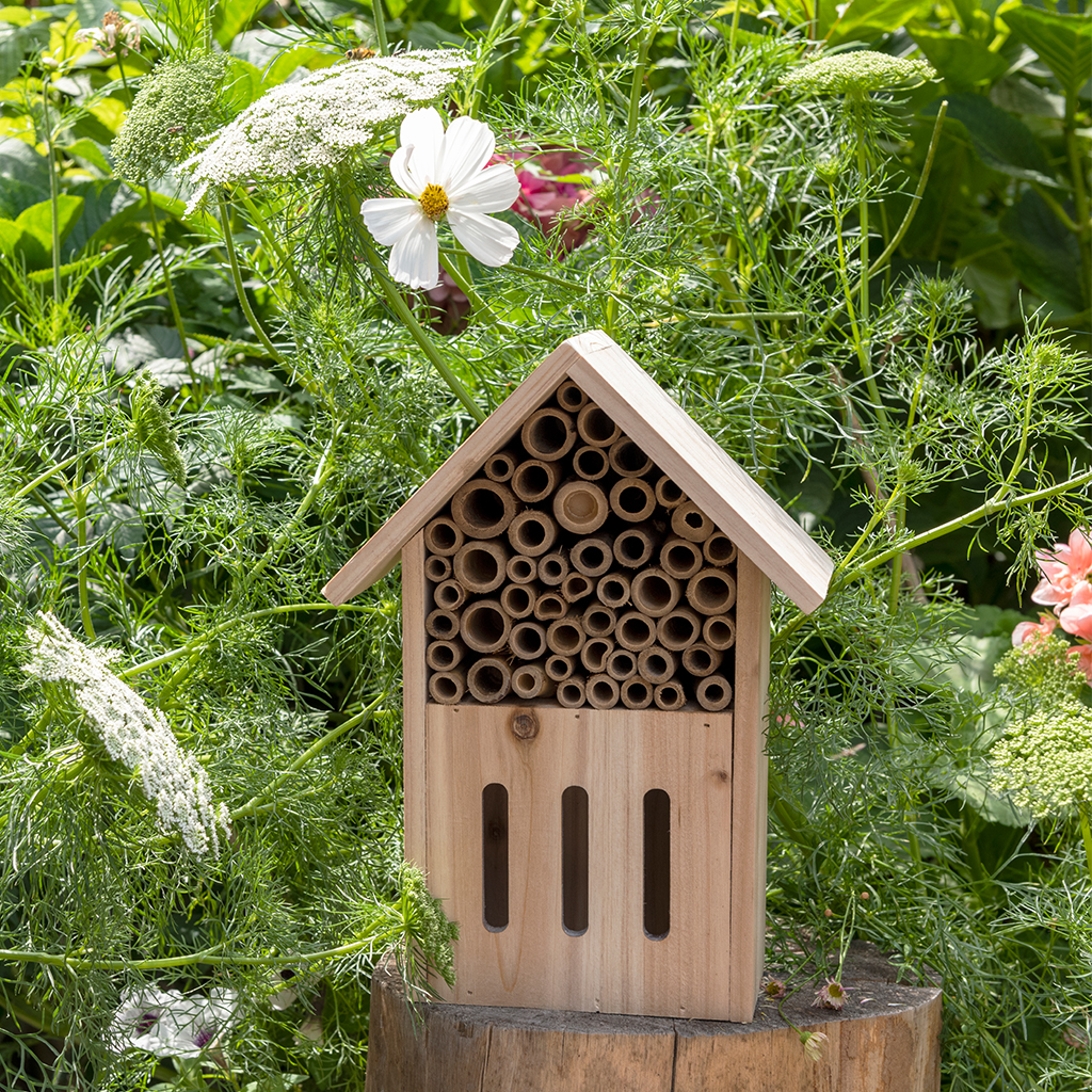 Butterfly and bee hotel - Your Garden | Rex London