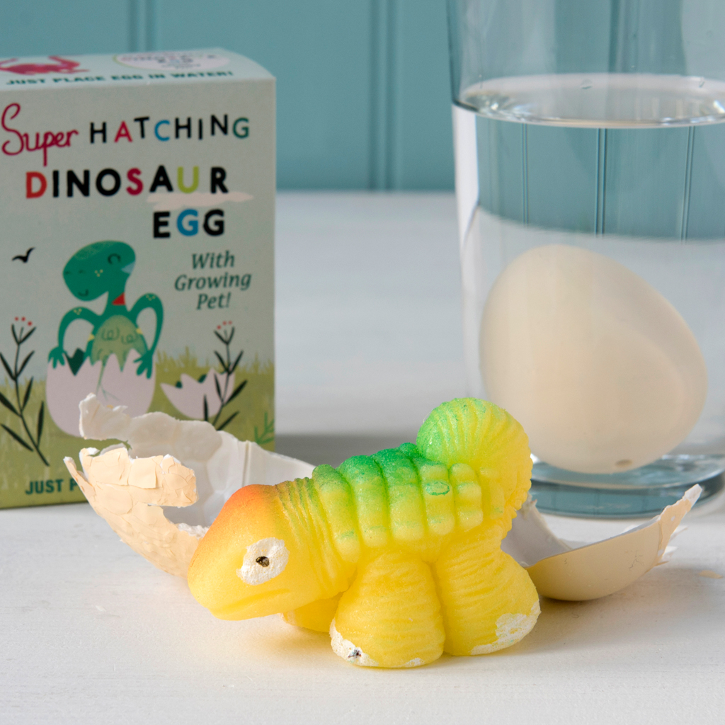 Hatch Your Own Dinosaur Egg Toy | Rex London