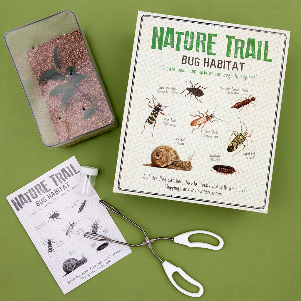 Make your own bug habitat - Nature Trail | Rex London