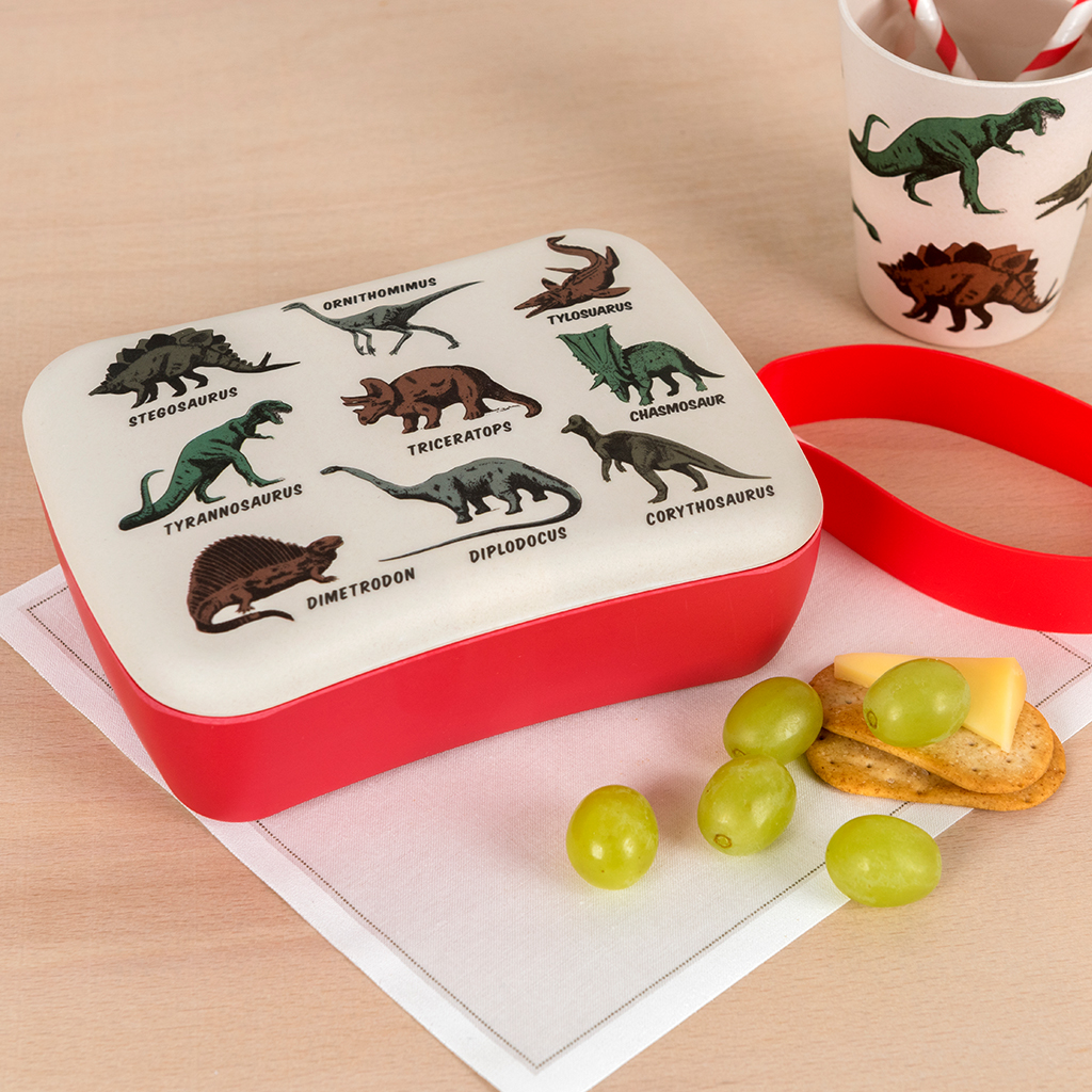PREHISTORIC LAND KIDS BAMBOO LUNCH BOX ﻿Rex London