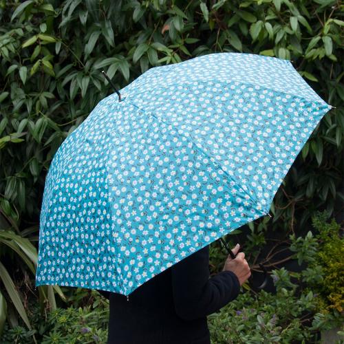 Daisy design ladies umbrella Daisy design ladies umbrella