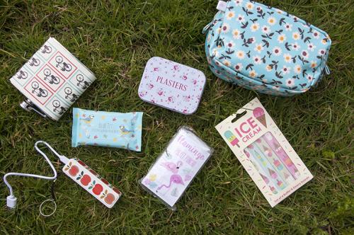 poncho, nail files, ice cream, hip flask, phone charger, power bank, power banks, wet wipes, plasters, first aid, handbag essentials, festival essentials, wet wipes, flamingo,