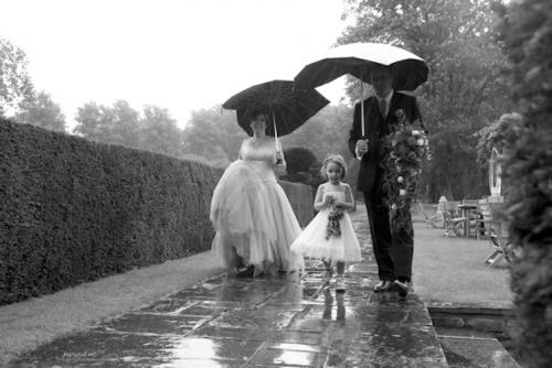 Alice in weddingland