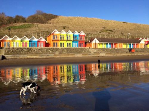 Colourful beach huts and reflection