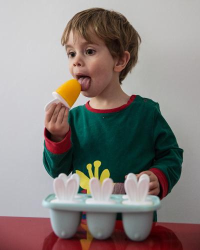 Bonnie the Bunny ice lolly mould