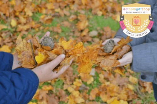 Best Family Lifestyle Blog - Boo, Roo and Tigger Too