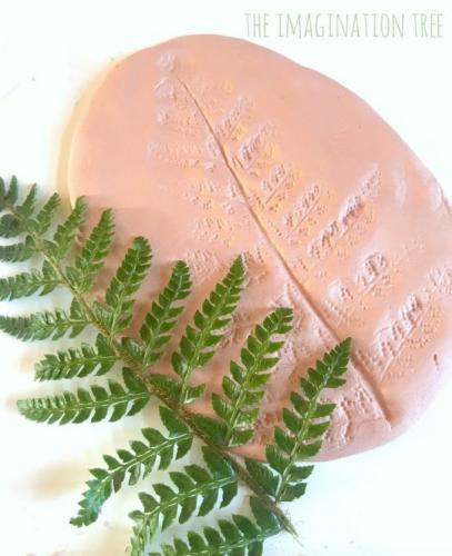 Leaf print clay