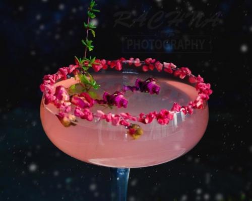 pink-cocktail-with-rose-petals