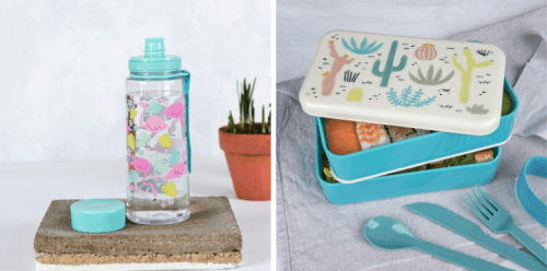 water bottle and adult bento box from dotcomgiftshop