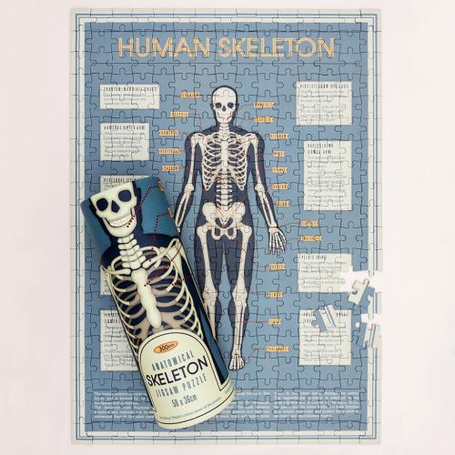 Anatomical Skeleton 300 Piece Puzzle In A Tube