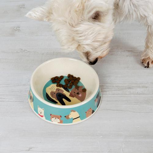 Best in Show bamboo dog food bowl