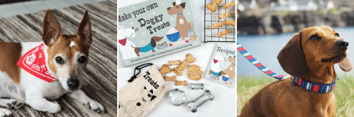 christmas gifts for pets from dotcomgiftshop