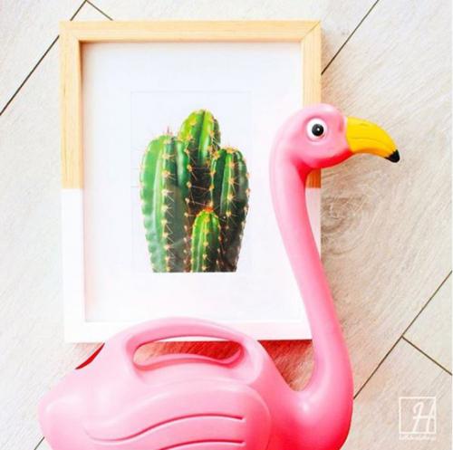 Flamingo watering can