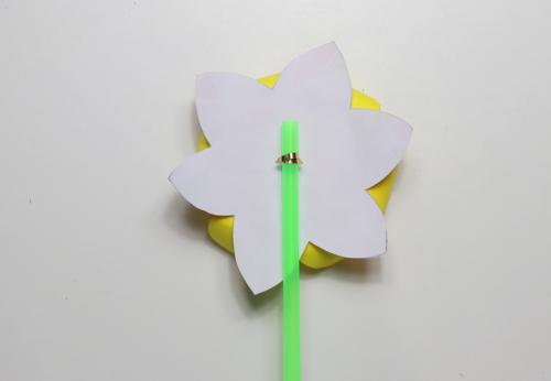 daffodil pinwheels 5