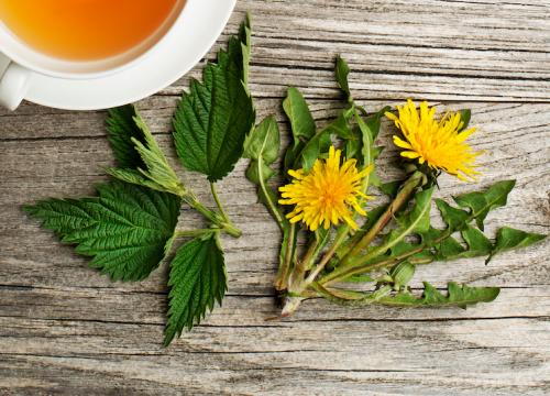 dandelion and nettle detox tea