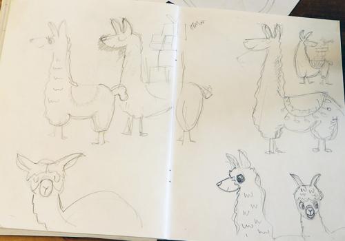 Early llama sketches