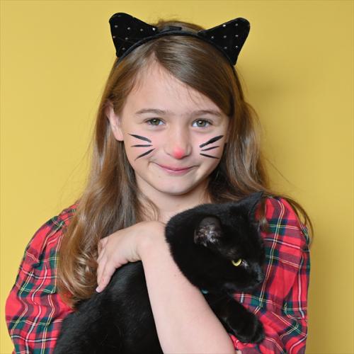 Face paint cat face