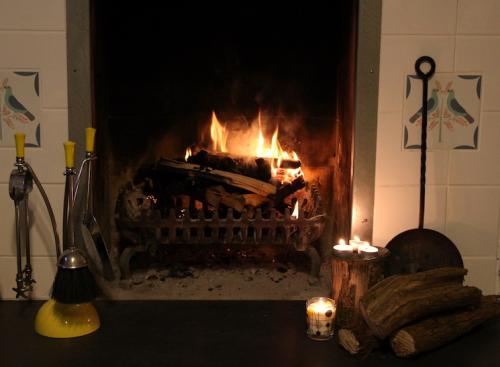 Log burning fireplace