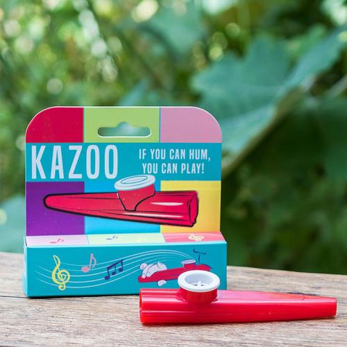 Traditional kazoo