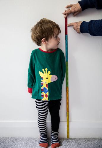 Wooden folding ruler Wooden folding ruler