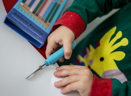 Mouse scissors