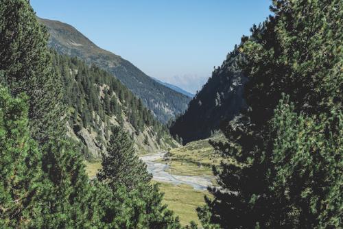 Sulzenaualm, Neustift im Stubaital, Austria