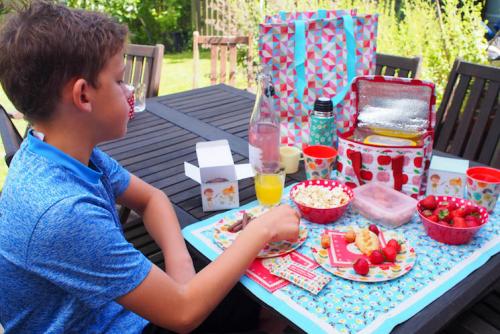Jen's son ready for a picnic