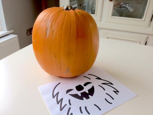 step 1 - choose a good pumpkin