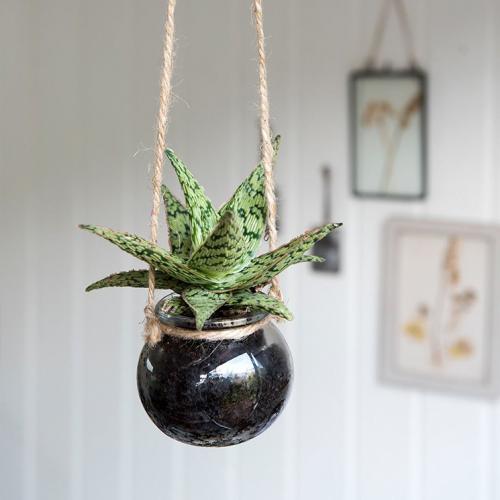 Small hanging glass planter