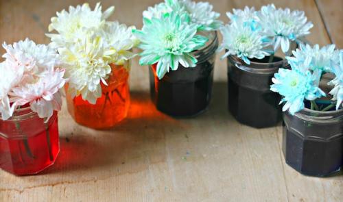 colourful-flowers-in-glass-jars