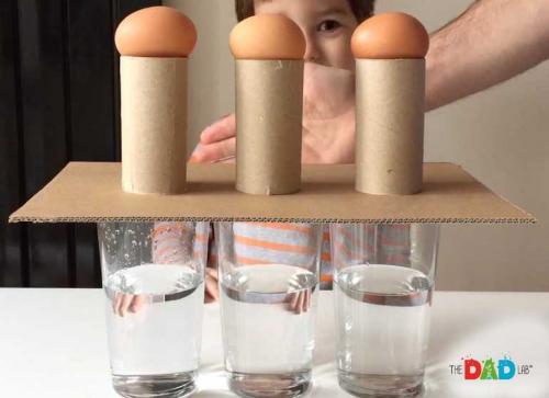 Egg and water science experiment for children by TheDadLab
