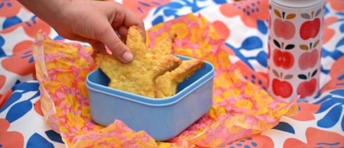 A blue lunchbox with a star-shaped cheese biscuit inside, on a red and blue picnic blanket