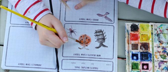 A child's hands paint a picture of a ladybird in a nature journal