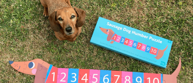 A sausage dog looks up at the camera next to a sausage dog-shaped puzzle