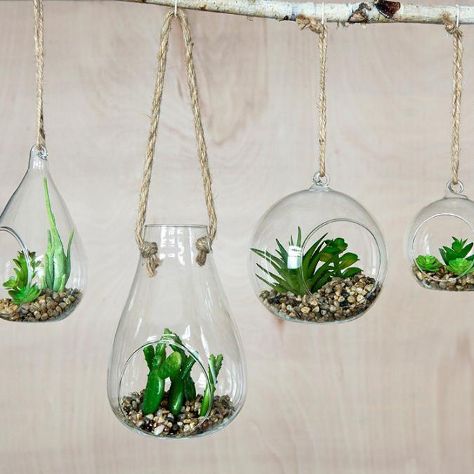 Cactus hanging glasses