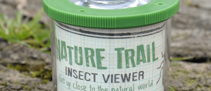 Nature Trail insect viewer