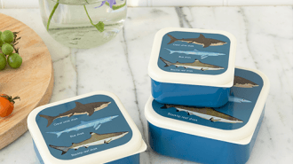 Sharks snack boxes
